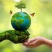 روانشناسی حفاظت از محیطزیست؛ علم تغییر رفتار برای نجات زمین